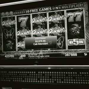 Meet your Posher, Beatrice